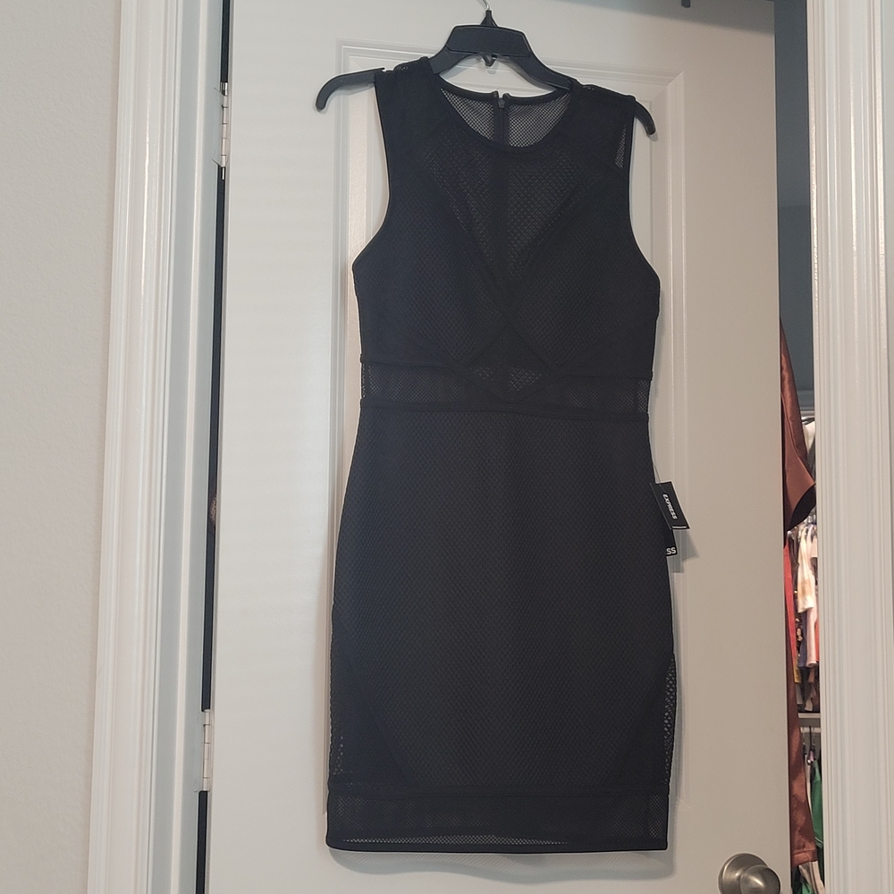 Express Black Mesh Mini Dress